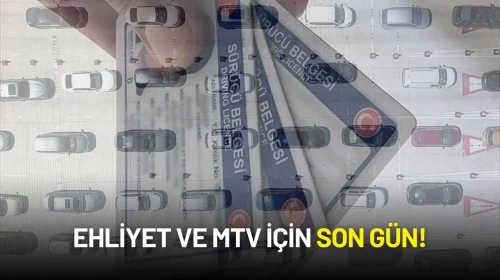Araç Sahipleri ve Ehliyet Yenileyecekler İçin Son Gün!