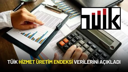 TÜİK Hizmet Üretim Endeksi Verilerini Açıkladı