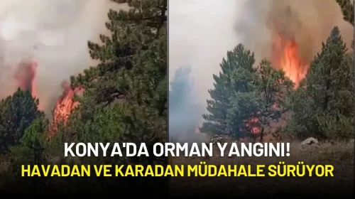 Konya'da Orman Yangını! Havadan ve Karadan Müdahale Sürüyor