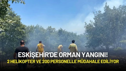 Eskişehir'de Orman Yangını! 2 Helikopter ve 200 Personelle Müdahale Ediliyor