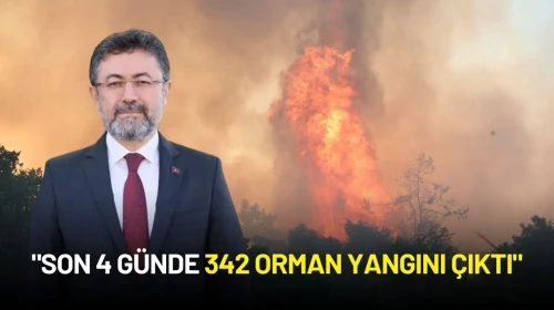 Tarım ve Orman Bakanı İbrahim Yumaklı: "Son 4 Günde 342 Orman Yangını Çıktı"
