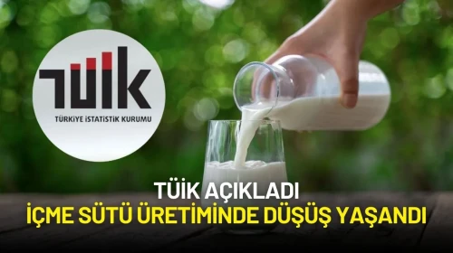 TÜİK Verilerine Göre Mayıs Ayında İçme Sütü Üretiminde Düşüş Yaşandı