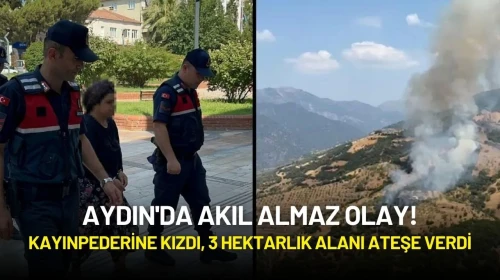 Aydın'da Akıl Almaz Olay! Kayınpederine Kızdı, 3 Hektarlık Alanı Ateşe Verdi