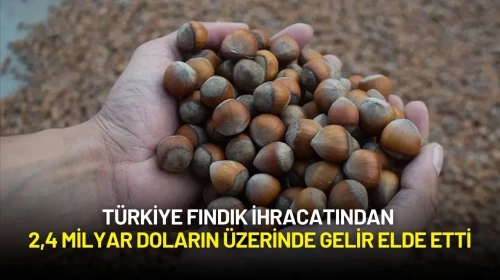Türkiye Fındık İhracatından 2,4 Milyar Doların Üzerinde Gelir Elde Etti
