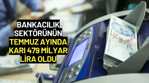 Bankacılık Sektörünün Temmuz Ayında Karı 479 Milyar Lira Oldu