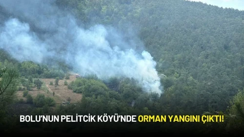 Bolu’nun Pelitcik Köyü’nde Orman Yangını Çıktı!