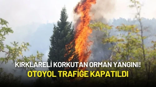 Kırklareli Korkutan Orman Yangını! Otoyol Trafiğe Kapatıldı
