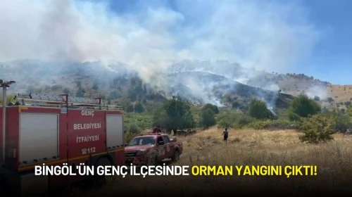Bingöl'ün Genç İlçesinde Orman Yangını Çıktı!