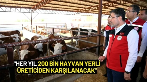 Bakan Yumaklı: "Her Yıl 200 Bin Hayvan Yerli Üreticiden Karşılanacak"