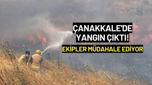 Çanakkale'de Yangın Çıktı! Ekipler Müdahale Ediyor