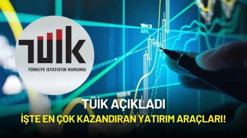 TÜİK Temmuz'da En Yüksek Getirili Yatırım Aracını Açıkladı