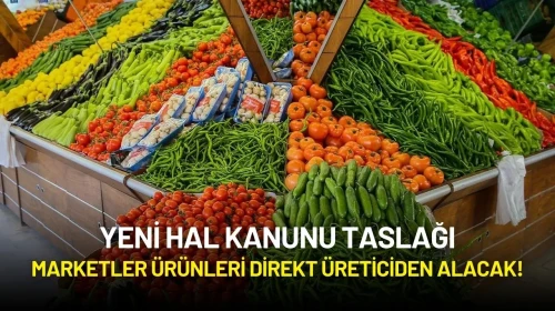 Yeni Hal Kanunu Taslağı: Marketler Ürünleri Direkt Üreticiden Alacak!