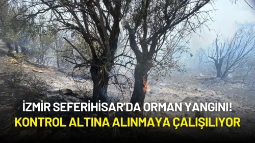 İzmir Seferihisar’da Orman Yangını! Kontrol Altına Alınmaya Çalışılıyor
