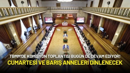 TBMM'de Komisyon Toplantısı Bugün de Devam Ediyor! Cumartesi ve Barış Anneleri Dinlenecek