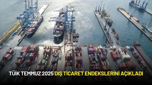 TÜİK Temmuz 2025 Dış Ticaret Endekslerini Açıkladı