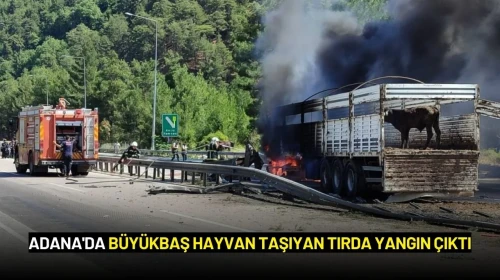 Adana'da Büyükbaş Hayvan Taşıyan Tırda Yangın Çıktı