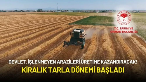 Devlet, İşlenmeyen Arazileri Üretime Kazandıracak! Kiralık Tarla Dönemi Başladı