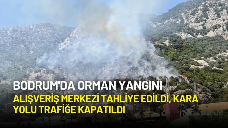 Bodrum'da Orman Yangını: Alışveriş Merkezi Tahliye Edildi, Kara Yolu Trafiğe Kapatıldı