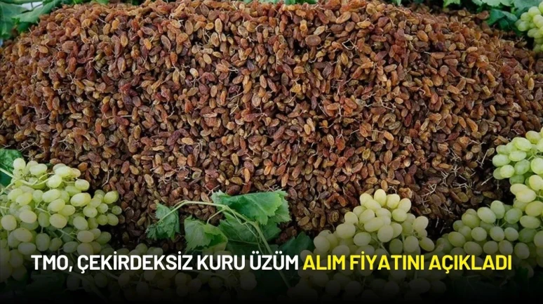 TMO, Çekirdeksiz Kuru Üzüm Alım Fiyatını Açıkladı