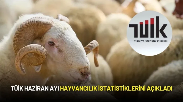 TÜİK Hayvancılık İstatistiklerini Açıkladı