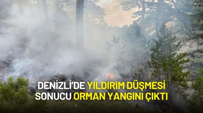 Denizli’de Yıldırım Düşmesi Sonucu Orman Yangını Çıktı