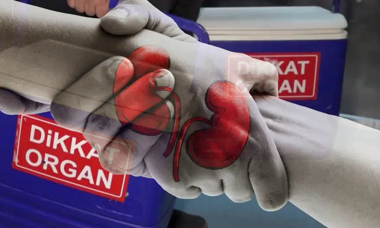 Merkezi Organ Bağışı Verileri Açıklandı: "O" İl Organ Bağışında Birinci Oldu!