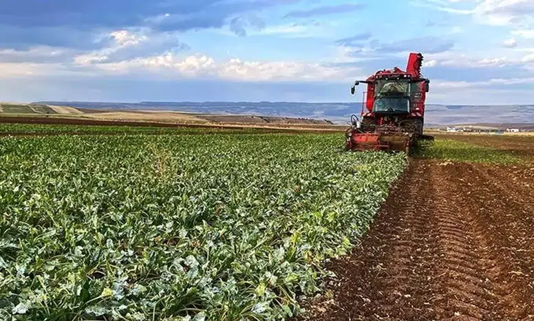 Çiftçinin yüzü gülecek: Tarımsal destek ödemelerinde 13 milyar liralık dev adım