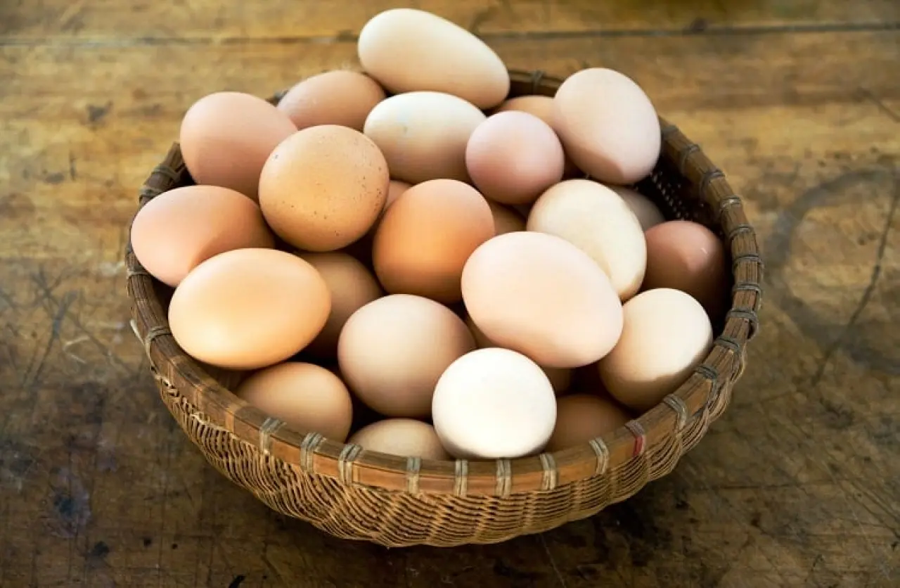 Yumurta Fiyatı Altını Solladı! 9 Ayda Yüzde 100 Artış 2