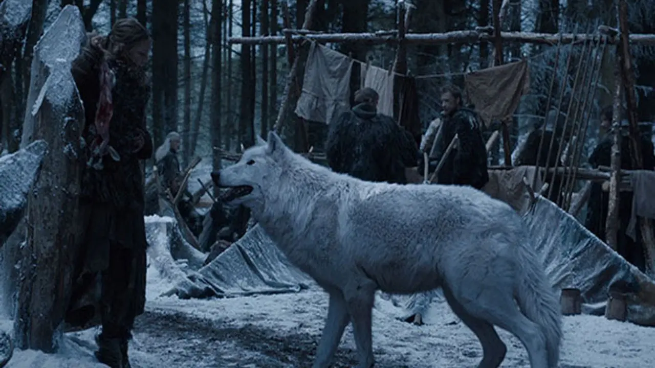 12.500 Yıl Sonra Geri Döndüler! Game of Thrones’un Ulu Kurtları Gerçek Dünyaya Adım Attı! 4