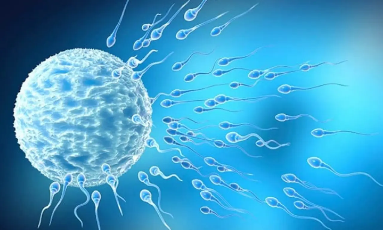 İstanbul’da Klinik Skandalı! Genç Kadınların Yumurtaları ABD'ye Satıldı İddiası 2